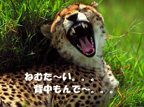 あくび