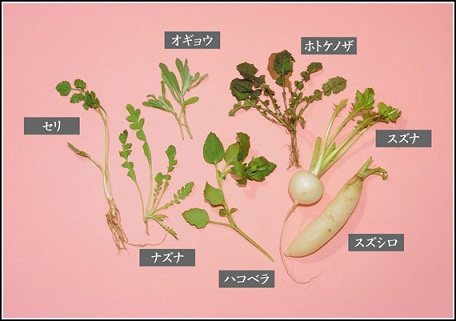 七草、ネット画像