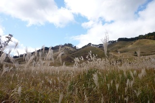 砥峰高原3