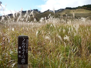 砥峰高原4