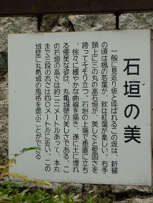 marugame7
