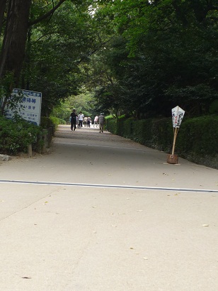 marugame5