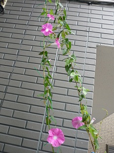 P1030168.JPG