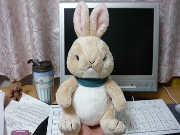 rabbit