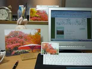 wonderful!