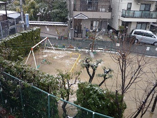 snow1