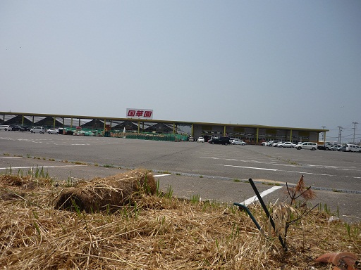 国華園めざして8