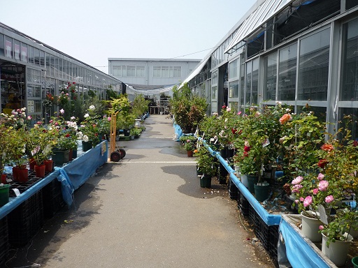 国華園めざして9