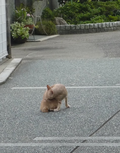 kanazawa3
