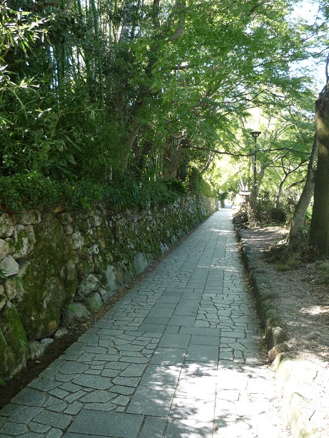 坂本1