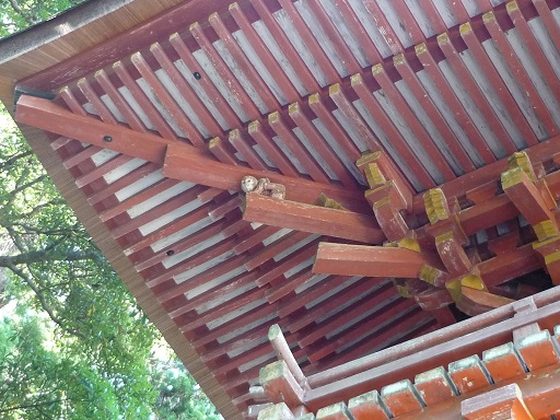 神猿発見!