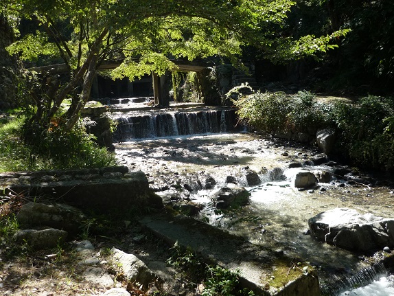 日吉大社15